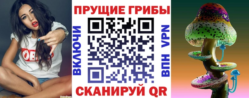 Галлюциногенные грибы мухоморы  Светлогорск 