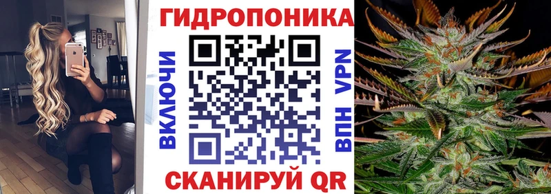 Канабис Bruce Banner  где продают   Светлогорск 